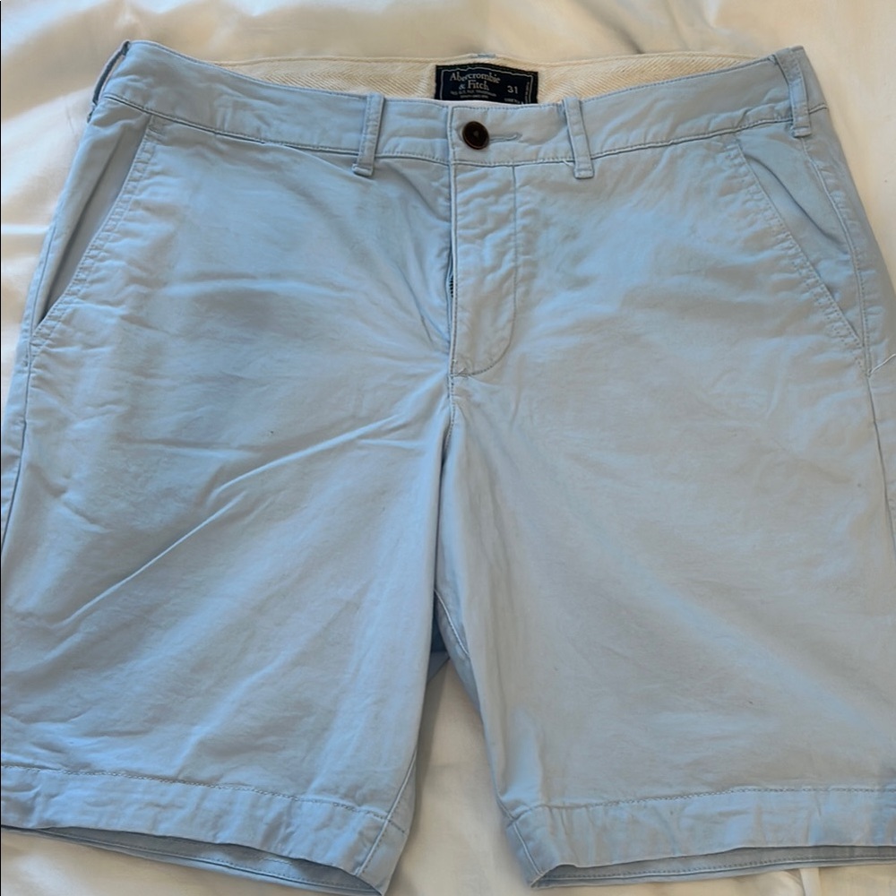 Abercrombie & Fitch Blue Flat Front Shorts